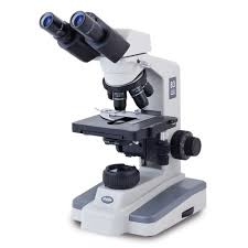 Microscope