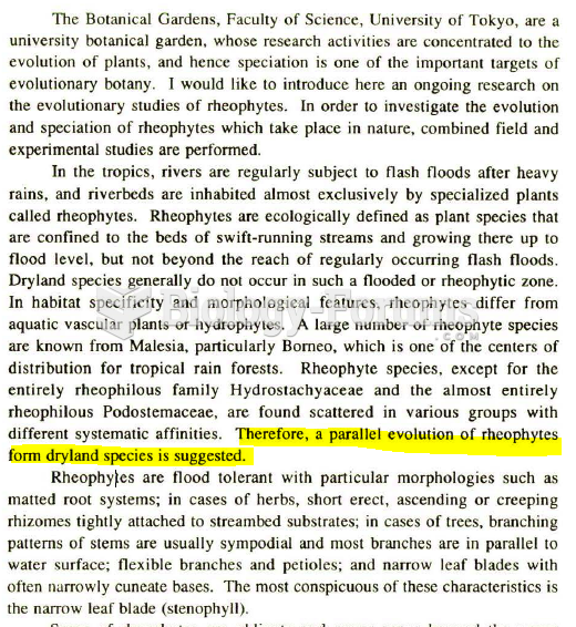 Did parallel evolution happen in epiphytes, halophytes and rheophytes?