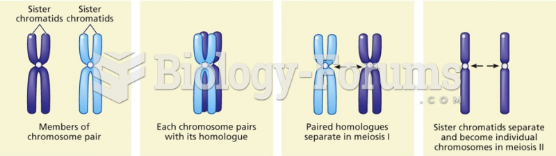 Summary of chromosome movements in meiosis