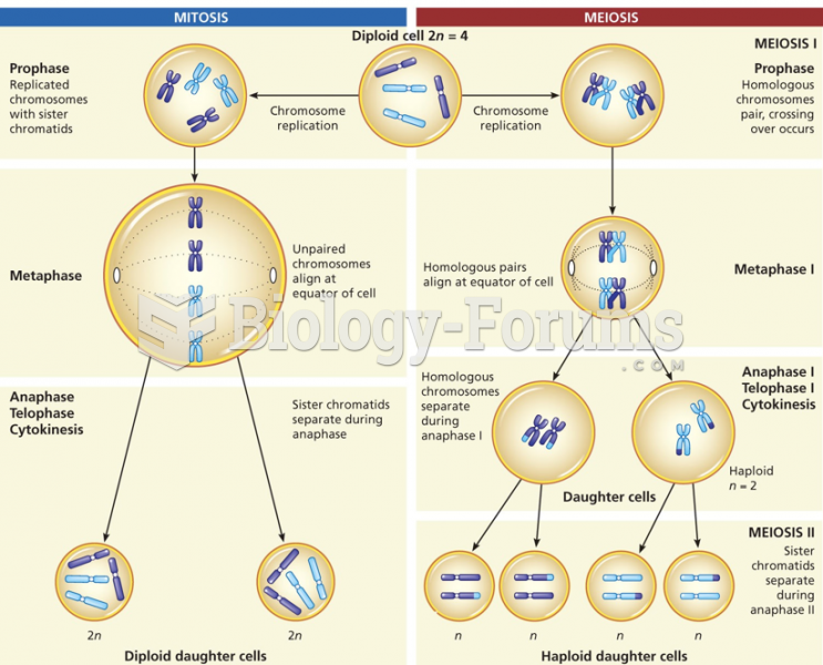 A comparison of the events in mitosis (left) and meiosis (right)