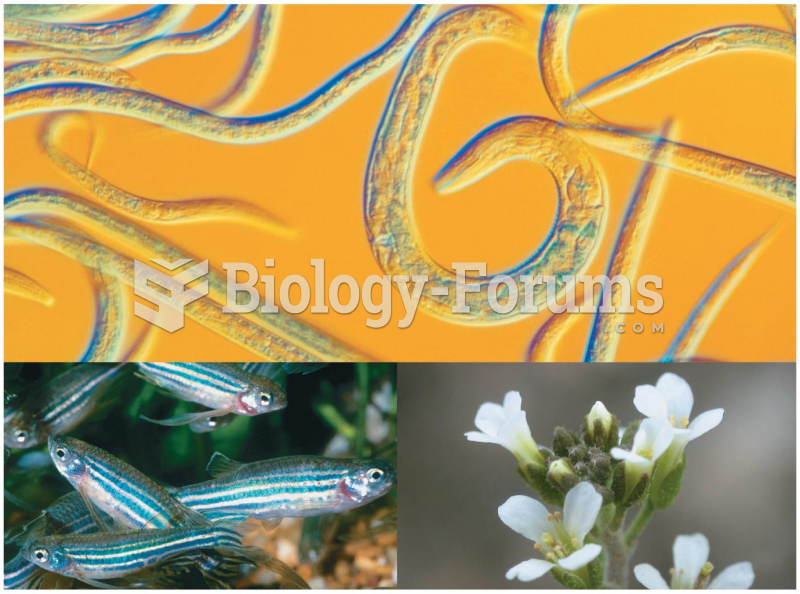 Roundworm Caenorhabditis elegans, the zebrafish, Danio rerio