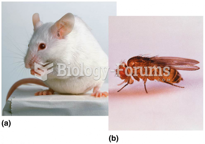 The first generation of model organisms in genetic analysis