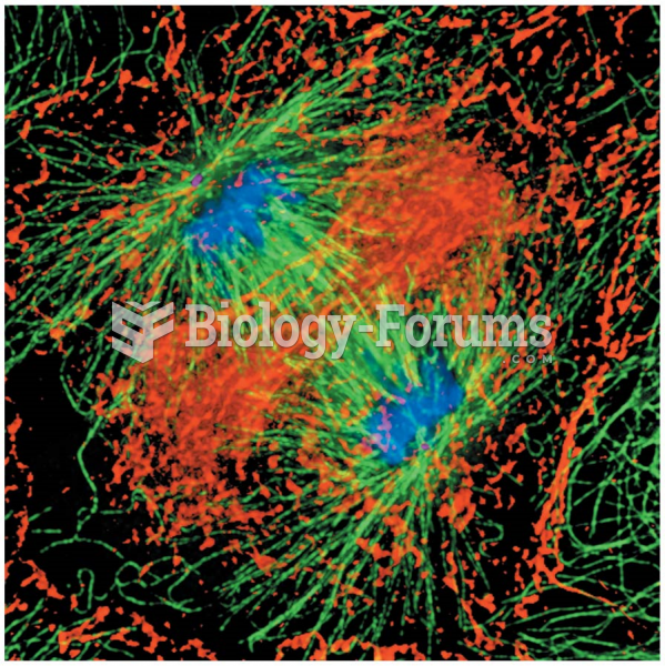 A late stage in mitosis after the chromosomes (stained blue) have separated