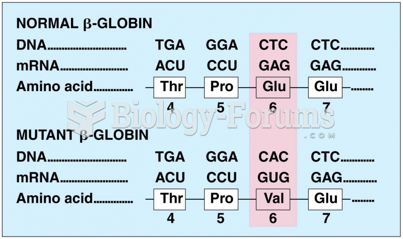 A single-nucleotide change in the DNA encoding -globin