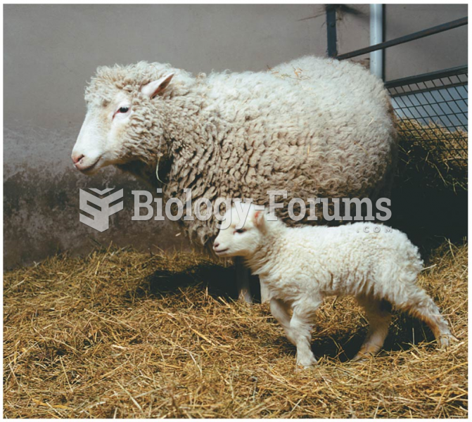 Dolly, a Finn Dorset sheep cloned from the genetic material o
