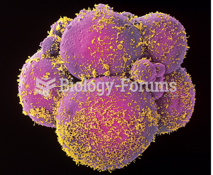 Human embryo shortly after fertilization in the laboratory