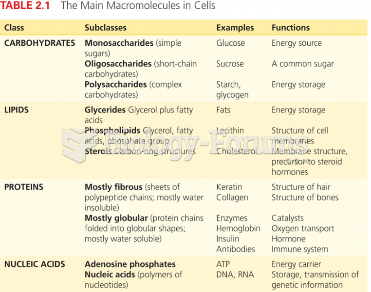 The Main Macromolecules in Cells