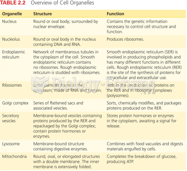 Overview of Cell Organelles