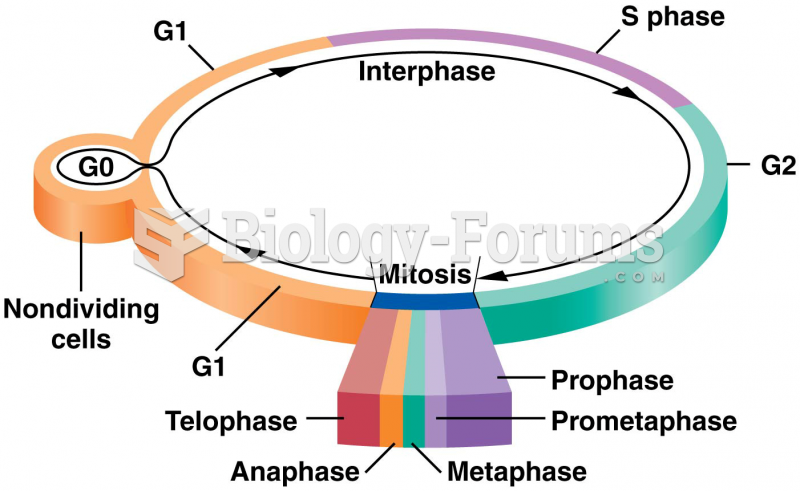 The stages comprising an arbitrary cell cycle