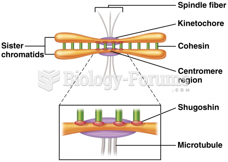 The depiction of the alignment, pairing, and disjunction of sister chromatids during mitosis