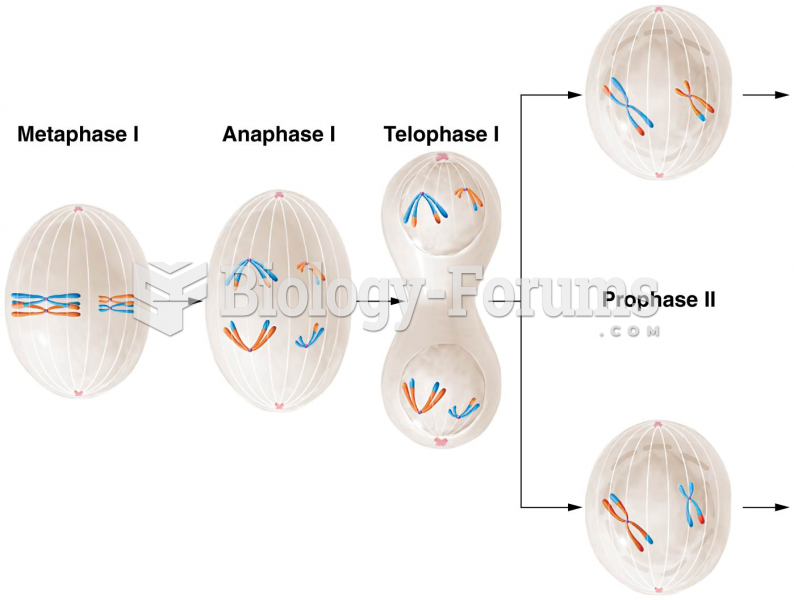 The major events in meiosis in an animal cell