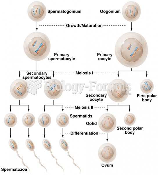 Spermatogenesis and oogenesis in animal cells