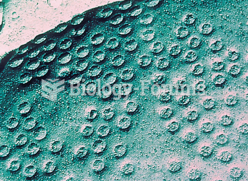 The nuclear envelope is studded with pores, which allow exchange of materials