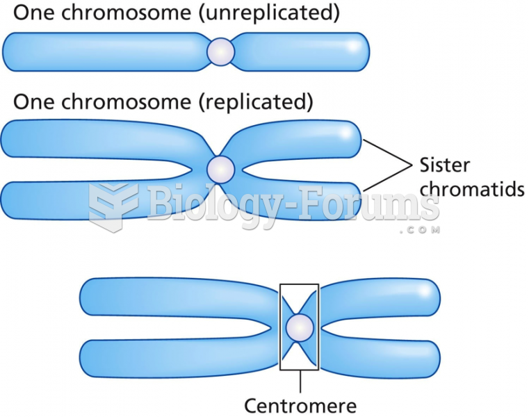 Chromosomes replicate during the S phase