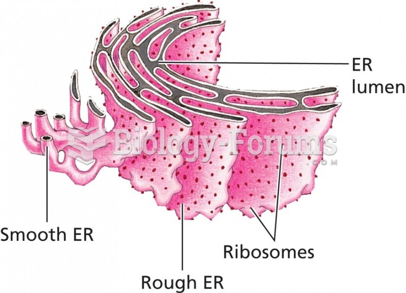 Three-dimensional representation of the endoplasmic reticulum (ER)