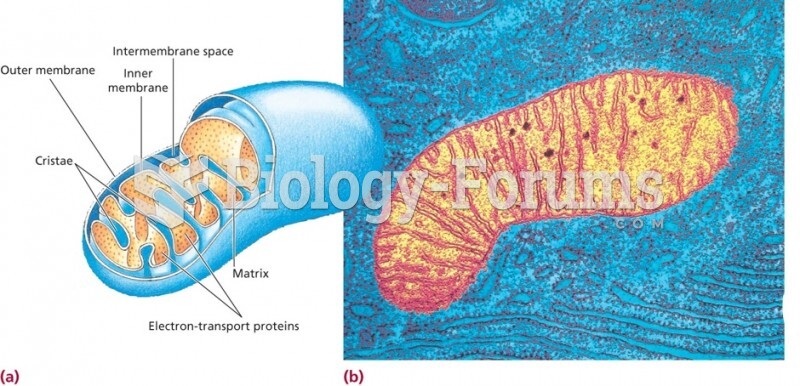 The mitochondrion is the center of energy transformation in the cell