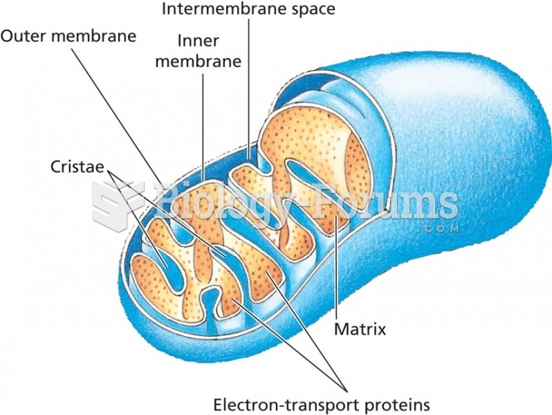 The infolded inner membrane