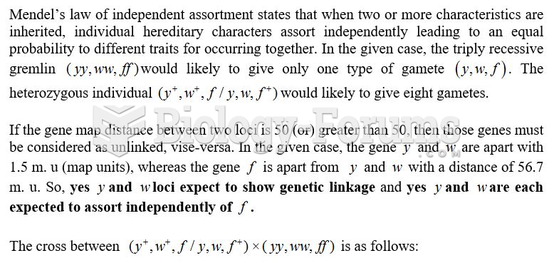 Genes expression due to position