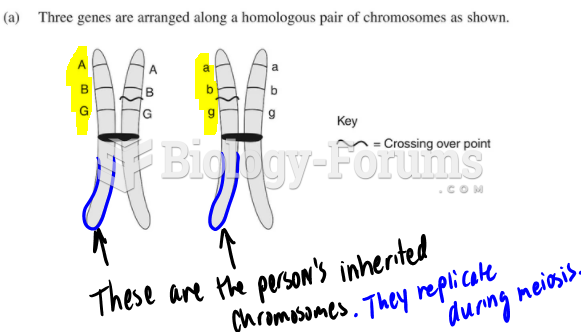 An exam question about chromosomes and alleles