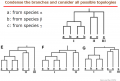 How to calculate the gain and loss gene numbers with low bootstrap of phylogenetic tree?