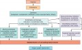 Pathophysiology of septic shock.