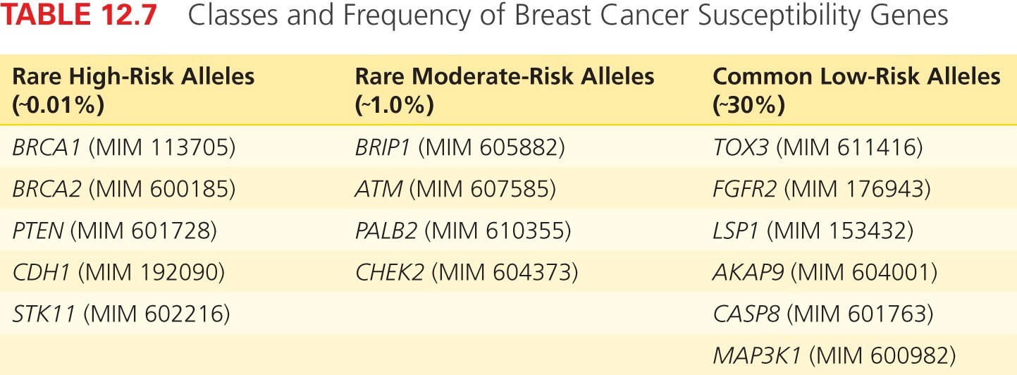 Classes and Frequency of Breast Cancer Susceptibility Genes