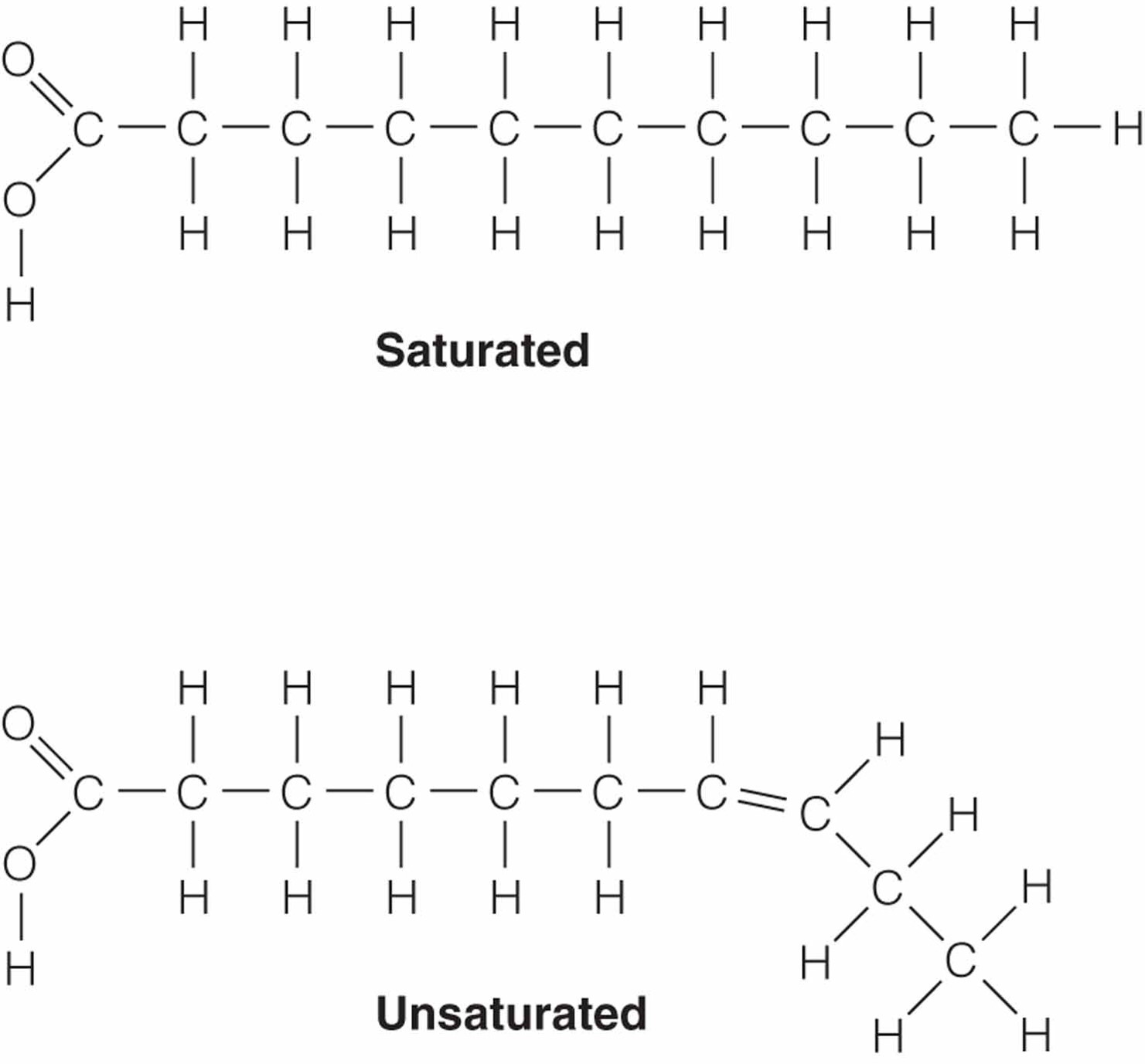 Saturated and Unsaturated Fat Structure.