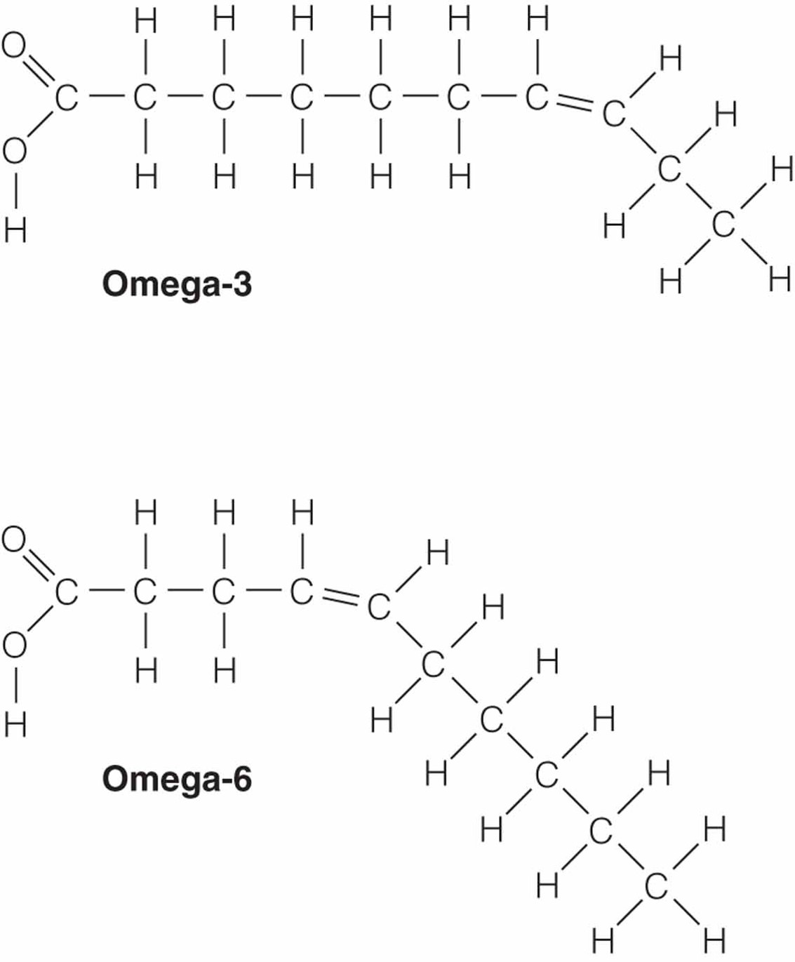 Omega-3 and Omega-6 Fatty Acids.