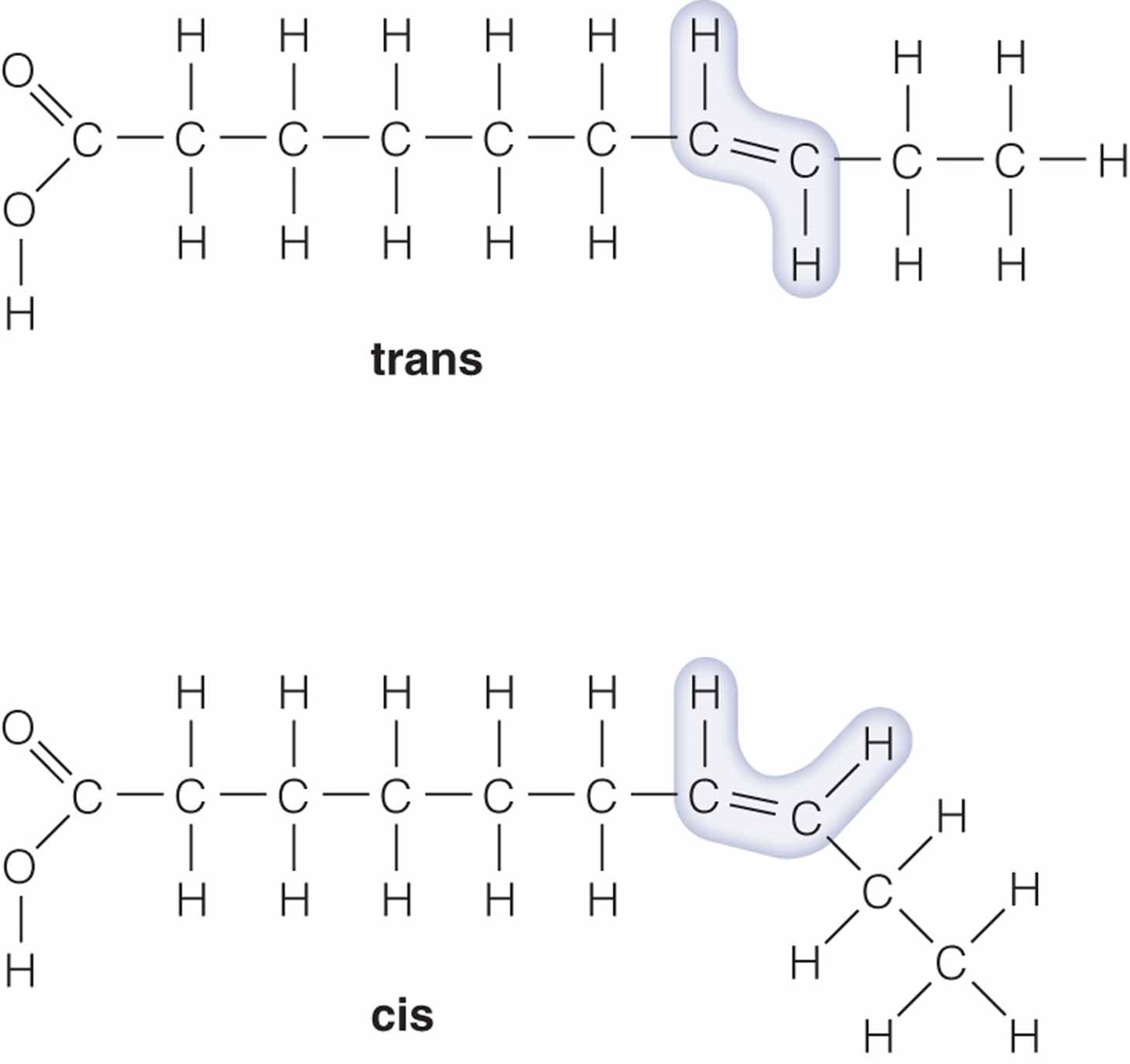 Cis and Trans-Fatty Acids.