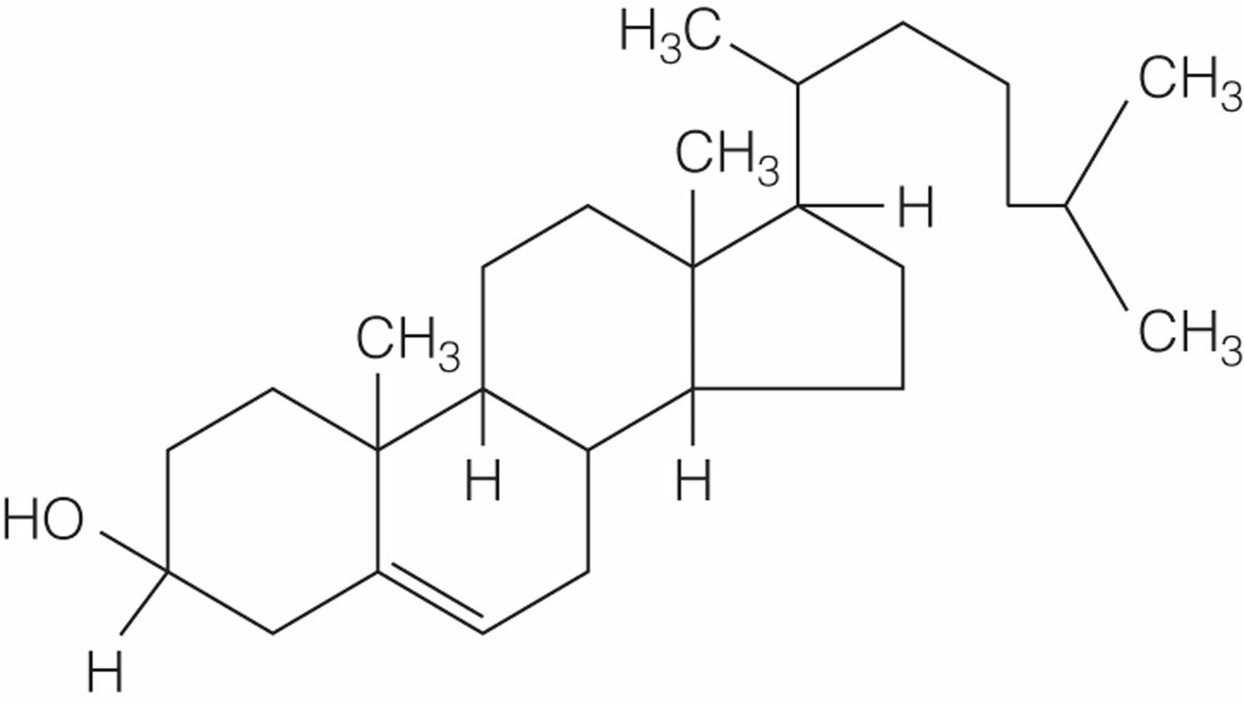 Cholesterol Molecule