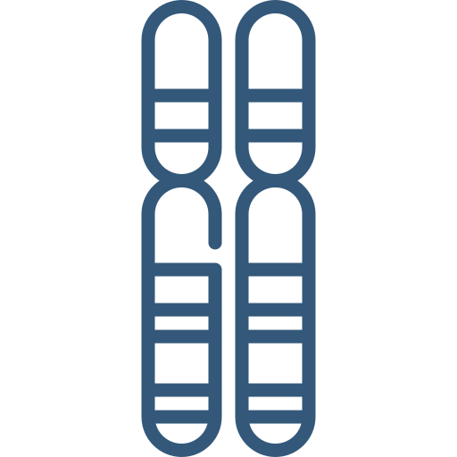 Genetics Vector Icon