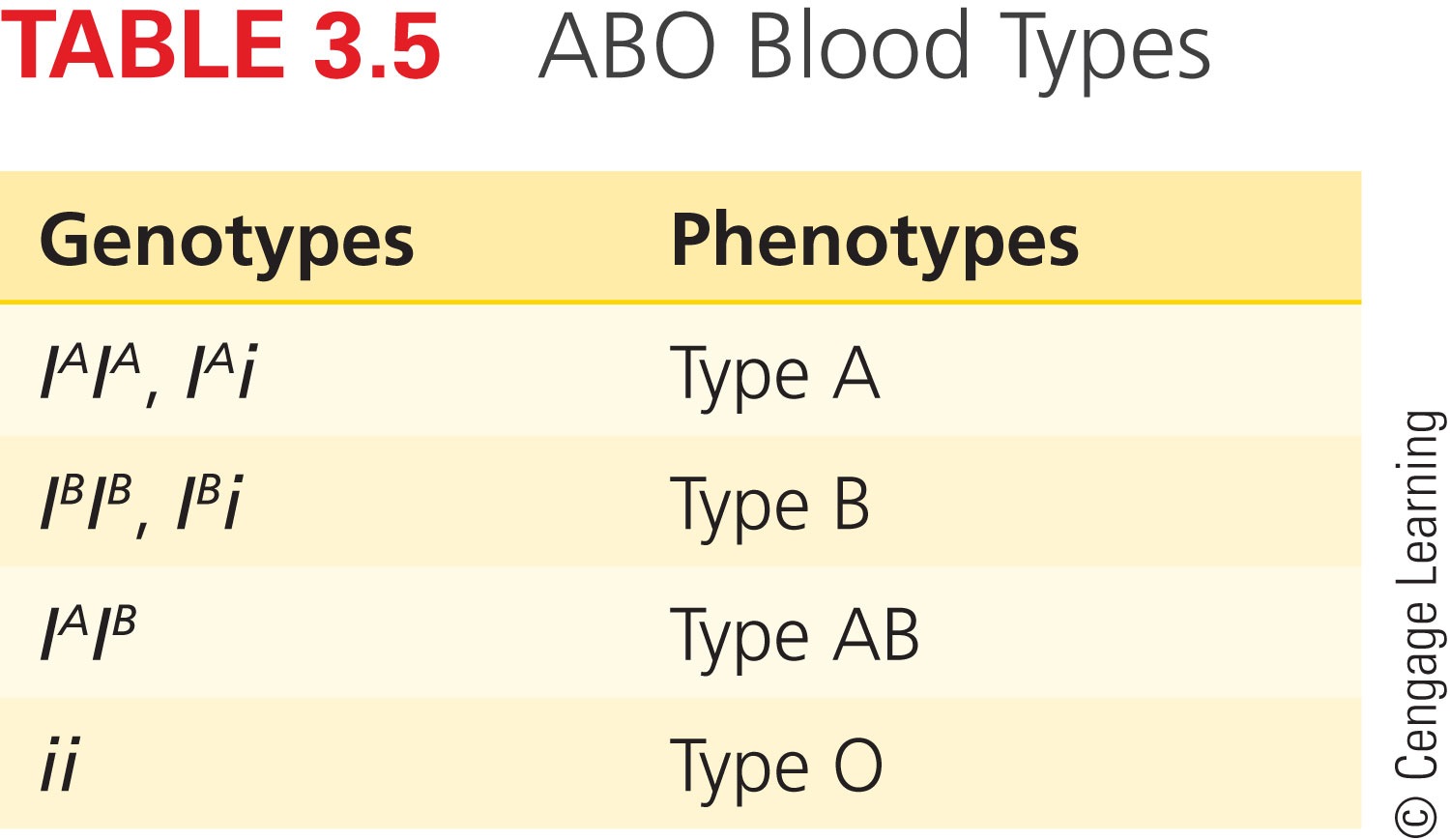 ABO Blood Types