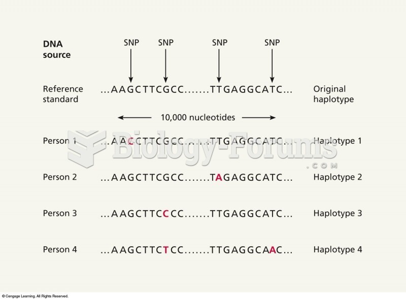 Single nucleotide polymorphisms (SNPs) are organized into blocks that are inherited together. These 