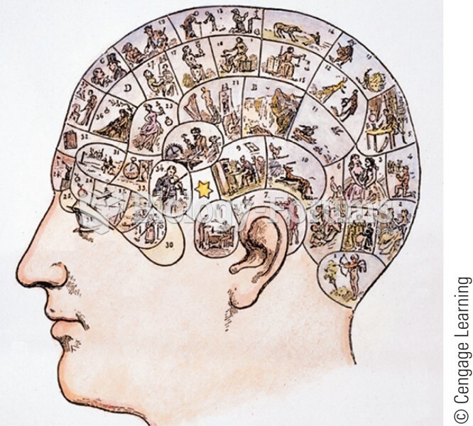 Phrenology model showing areas of the head overlaying brain regions that control different traits. I