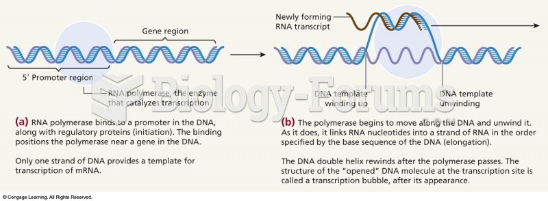 Transcription of a gene (Part 1)