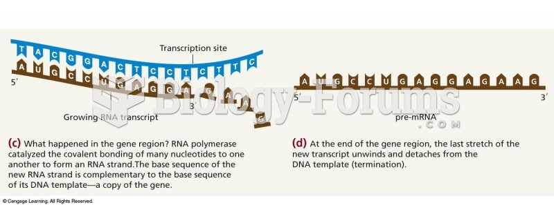 Transcription of a gene (Part 2)