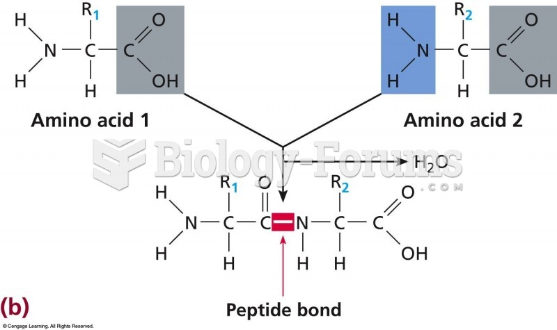 Formation of a peptide bond between two amino acids