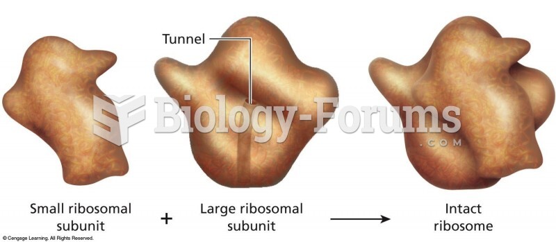 Three-dimensional models of the small and large subunits of ribosomes.