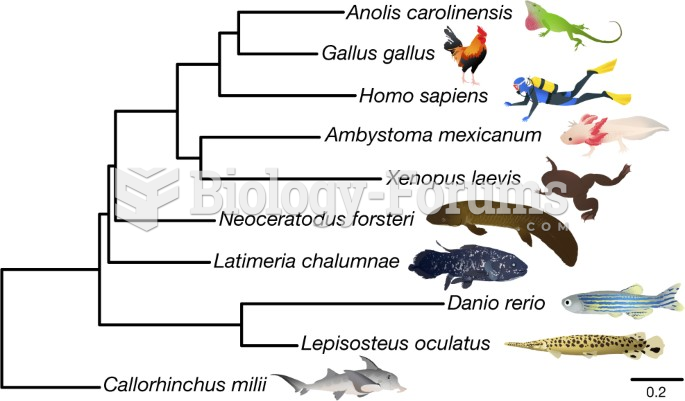 evolution tree