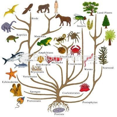 evolution tree