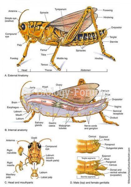 anatomy bug
