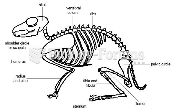rabbit skeletal