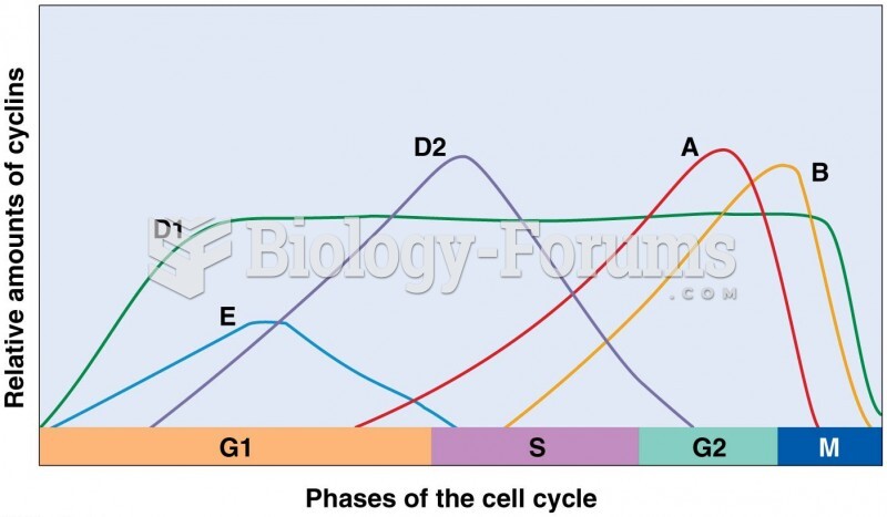 Relative expression times and amounts of cyclins during the cell cycle