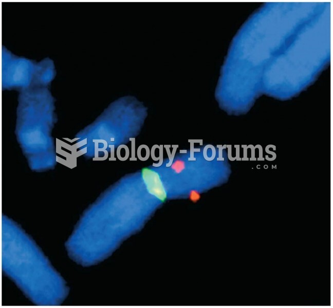 Opener A human X chromosome highlighted using fluorescence in situ hybridization