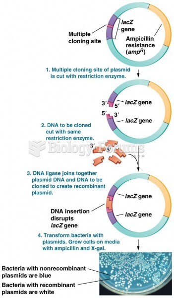 DNA inserted into multiple cloning site of a plasmid disrupts