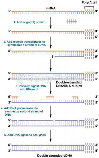 Producing cDNA from mRNA