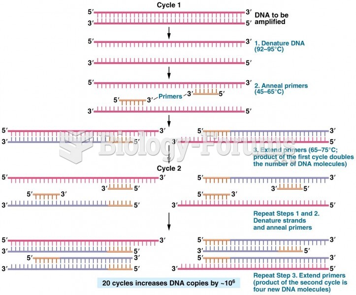 In the polymerase chain reaction (PCR)