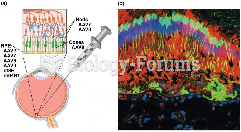 Treatment of retinal blindness