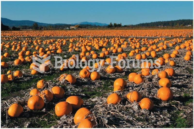 Opener A field of pumpkins, where size is under the influence of additive alleles