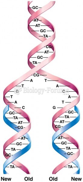 Generalized model of semiconservative replication of DNA
